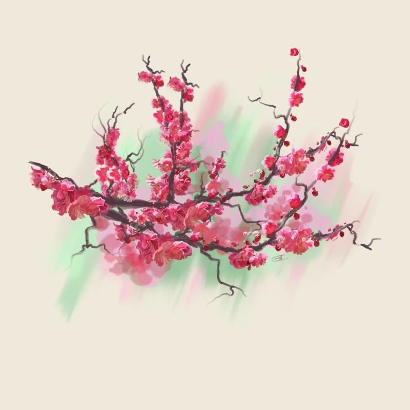 sakura