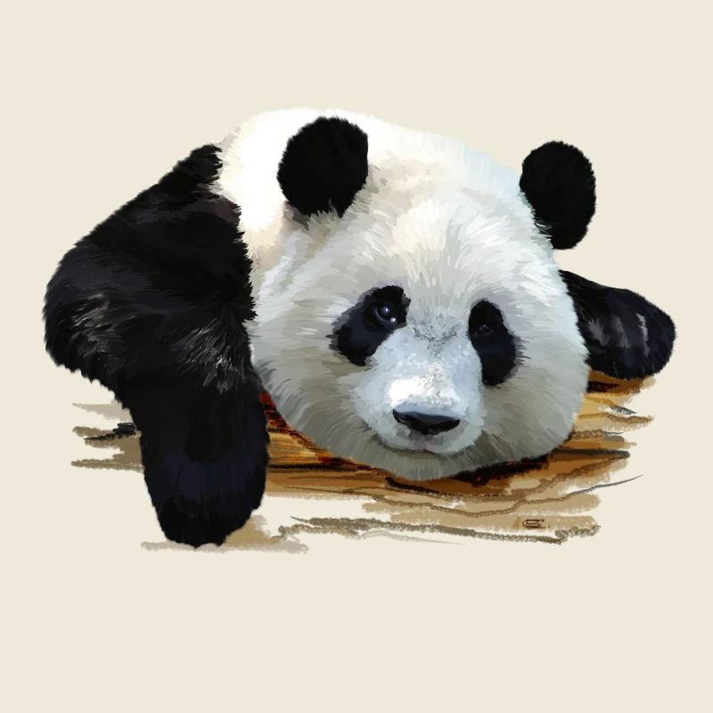 panda