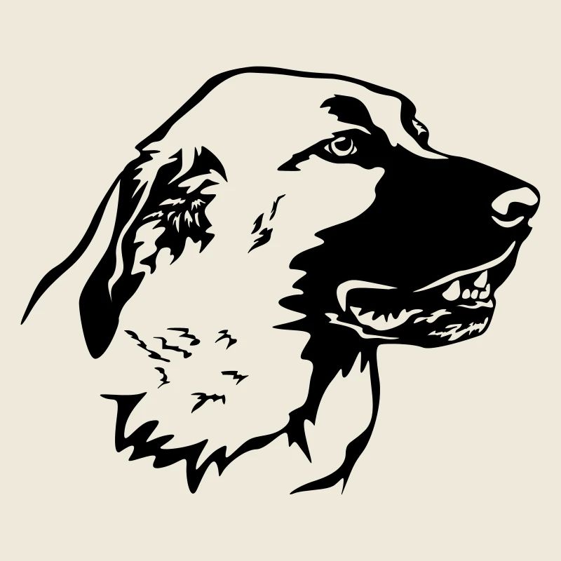 Kangal Kopf