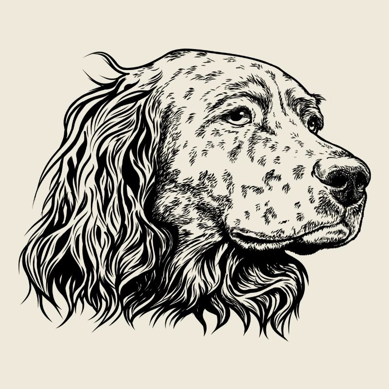 English Setter Portrait s