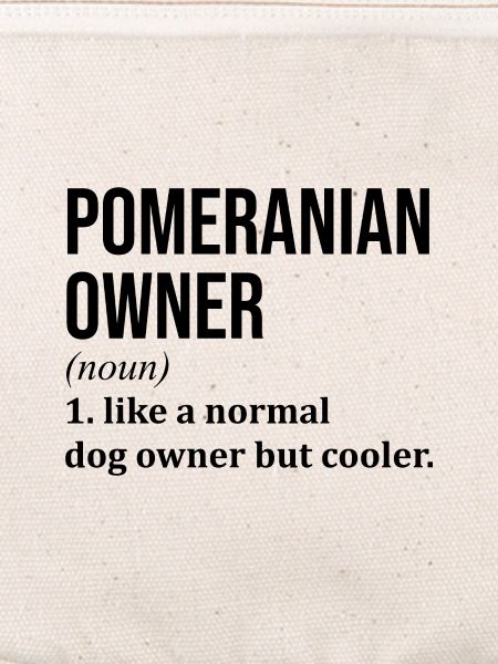 Pomeranian Pomeranian Pomeranian