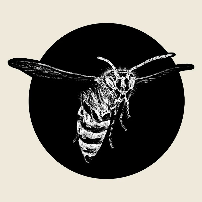 Wasp - Bee - Insect