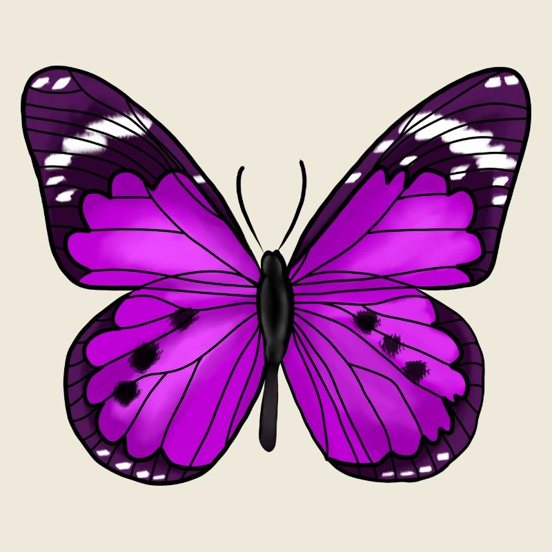 Butterfly Purple