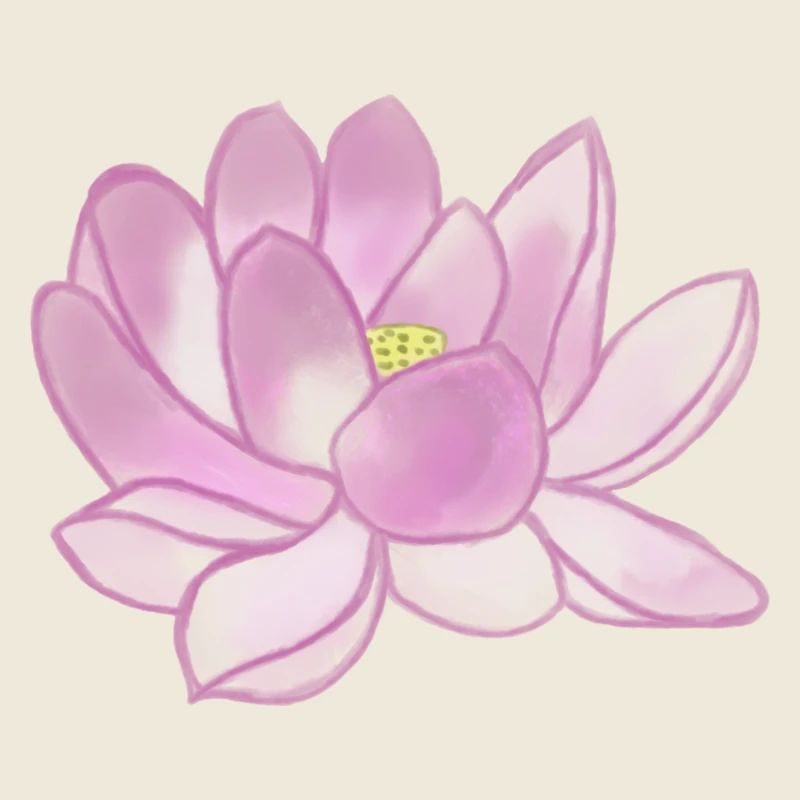 Lotusblüte