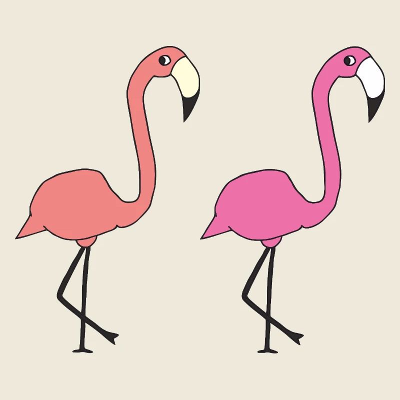 flamingo freunde
