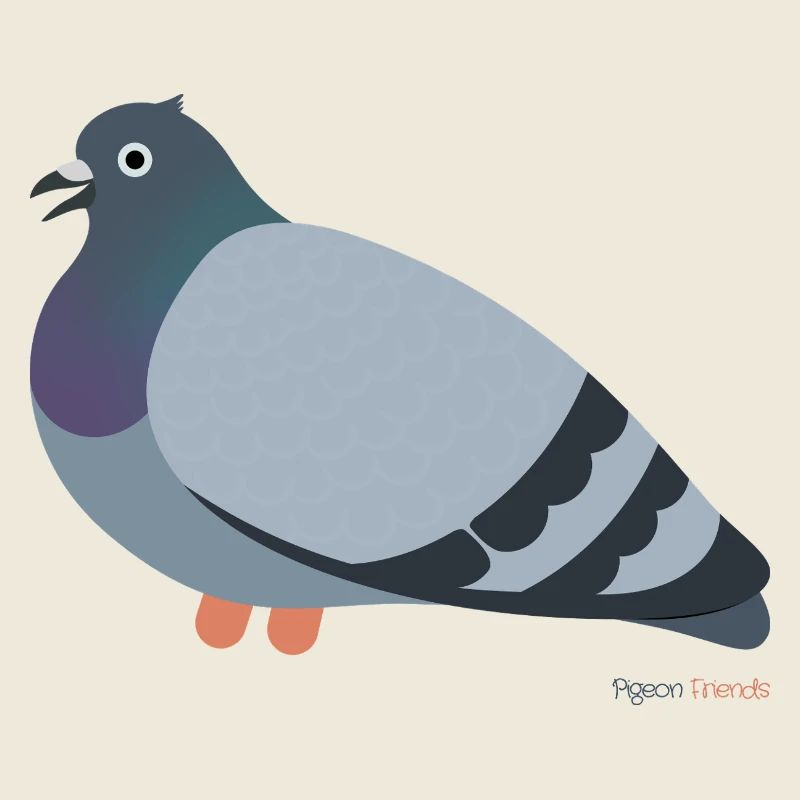 Tauben Vogel