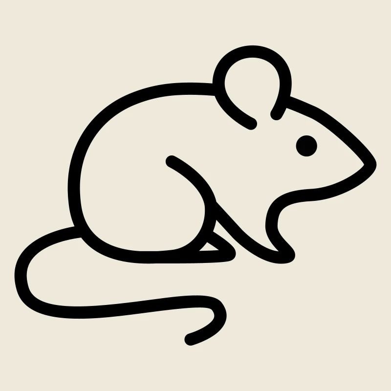 souris