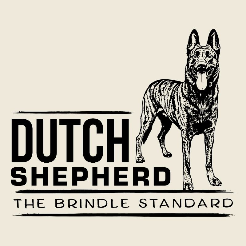 Berger hollandais - Dutchie