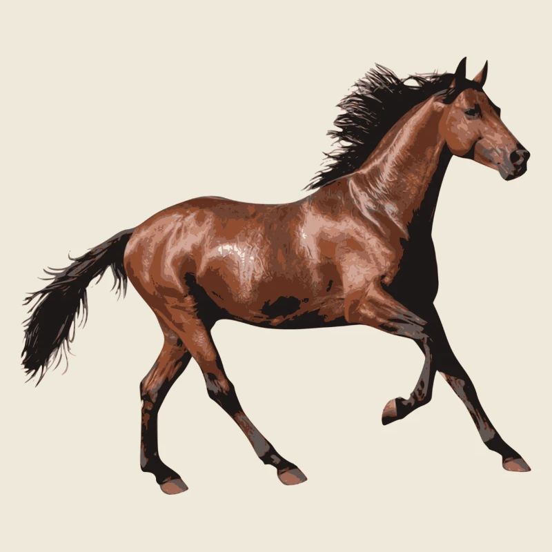 cheval