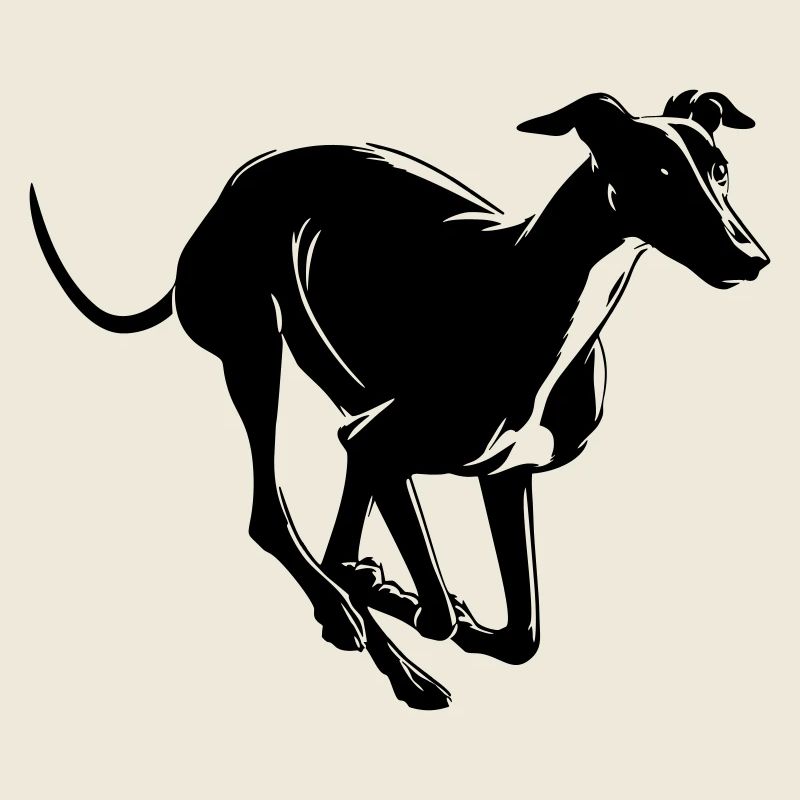Greyhound
