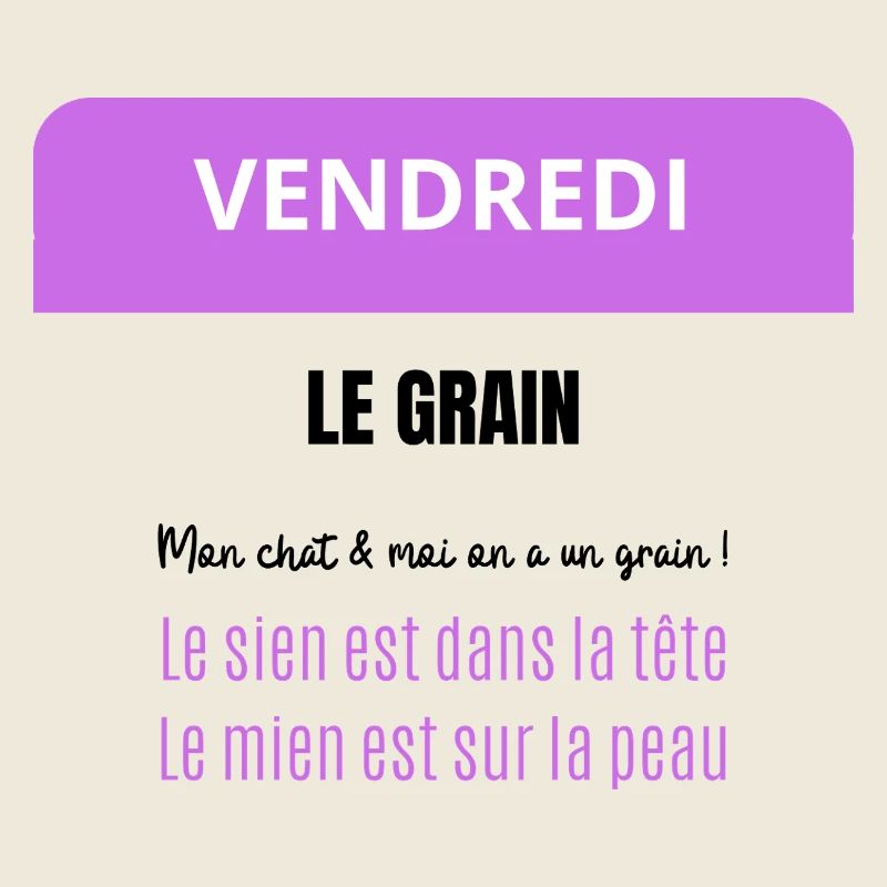 Vendredi - Le Grain de mon chat et moi