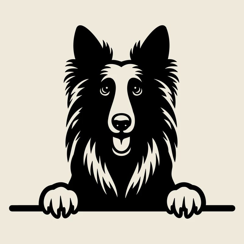 Belgian Groenendael