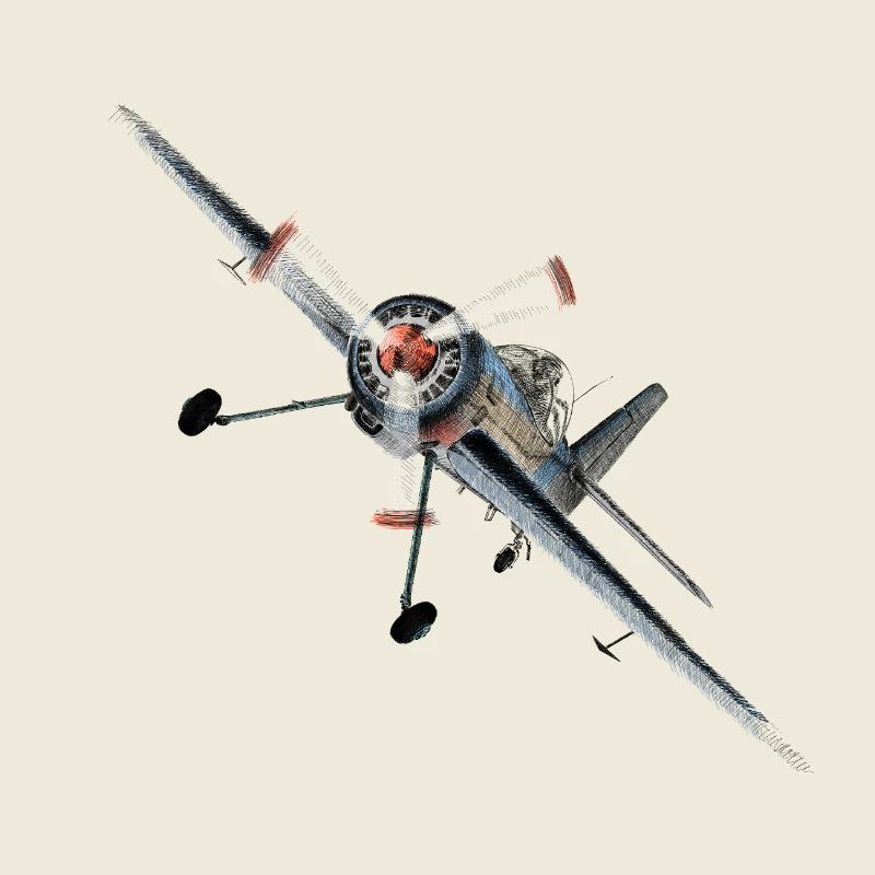 Aerobatic 
