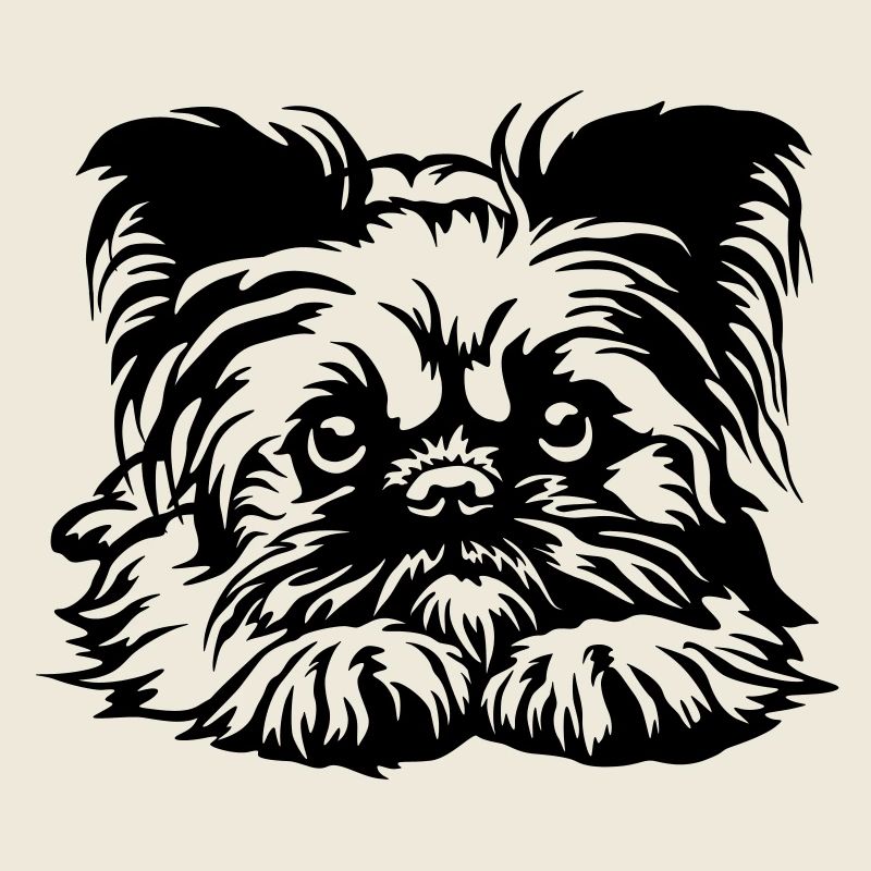 Brüsseler Griffon Kopf