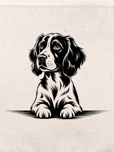 Cocker Spaniel