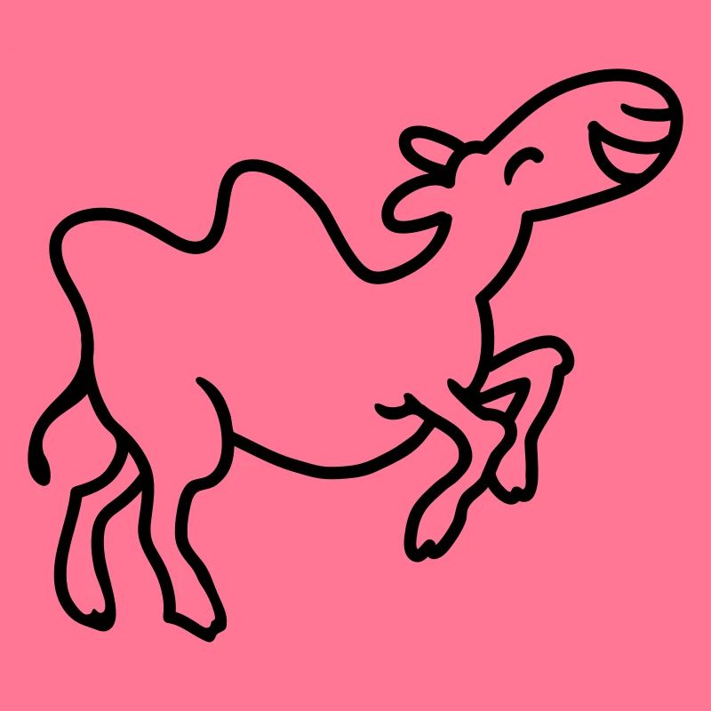 Camel s'amuse - ligne