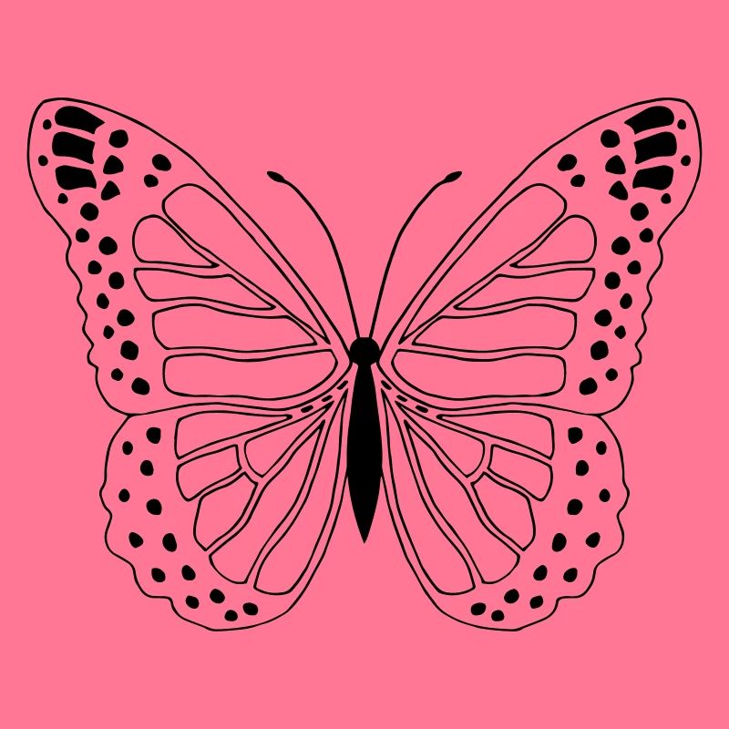 Papillon Papillon Papillon