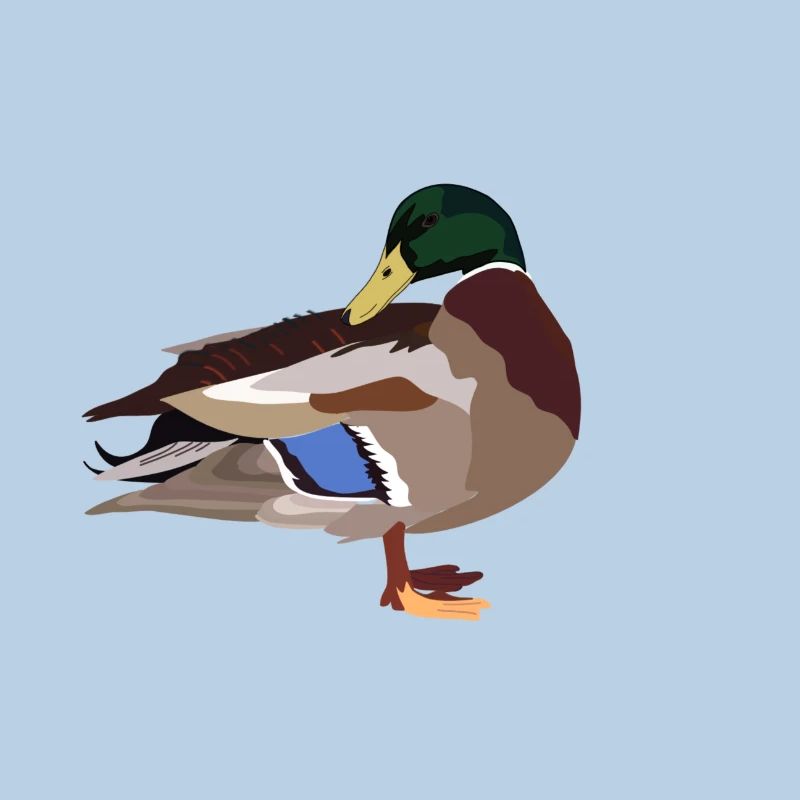 canard