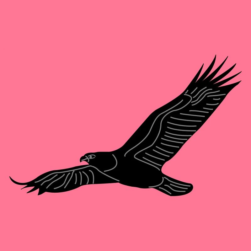 aigle01b