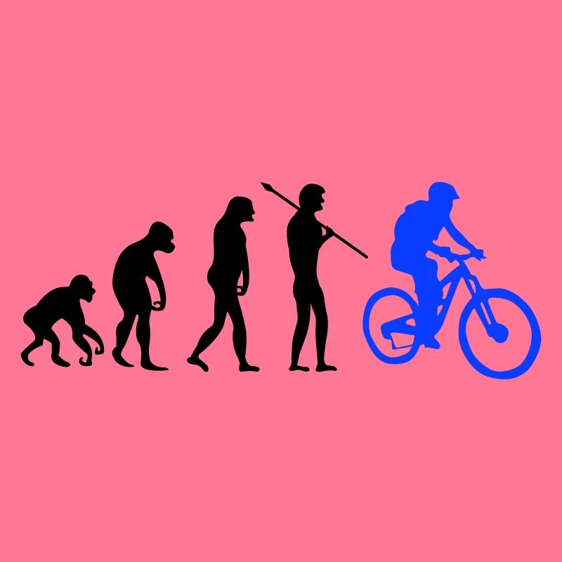 Évolution des motards