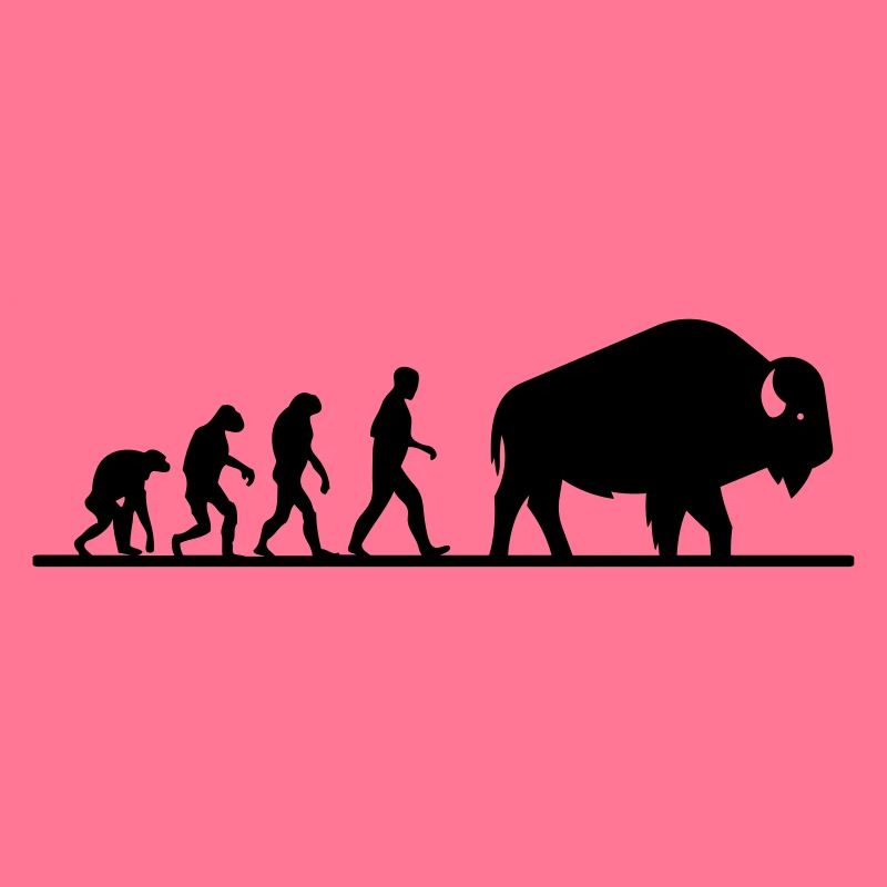 évolution du buffle