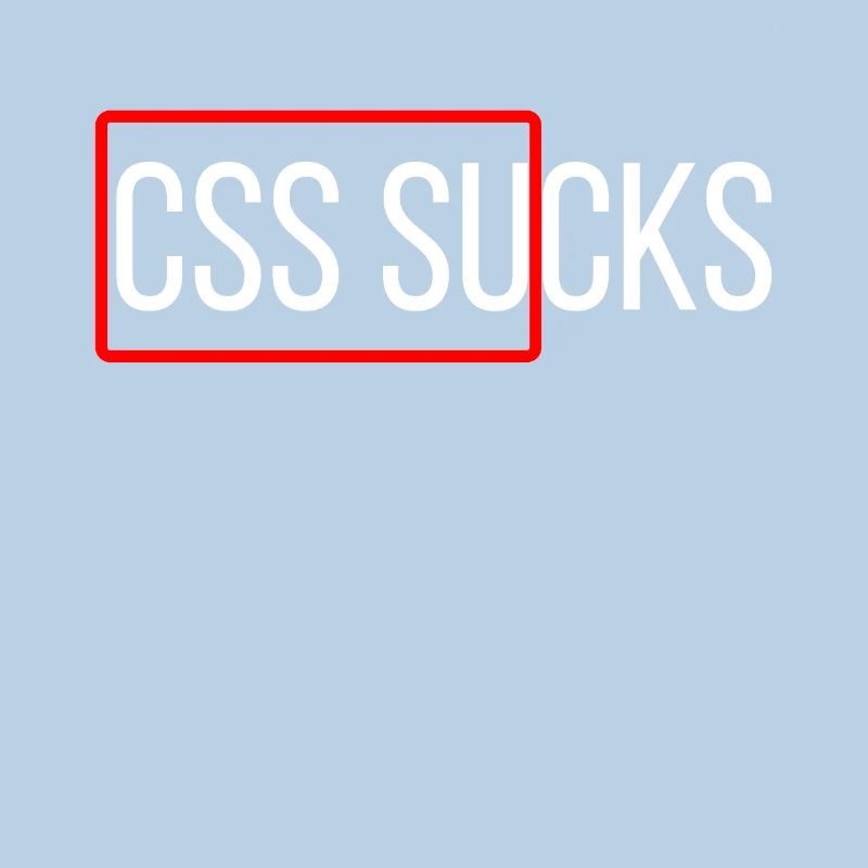 CSS sucks CSS programming funny programmers