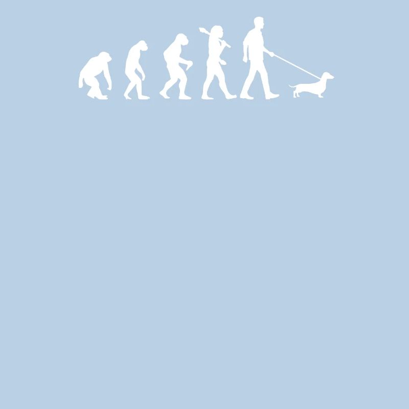 Evolution du teckel
