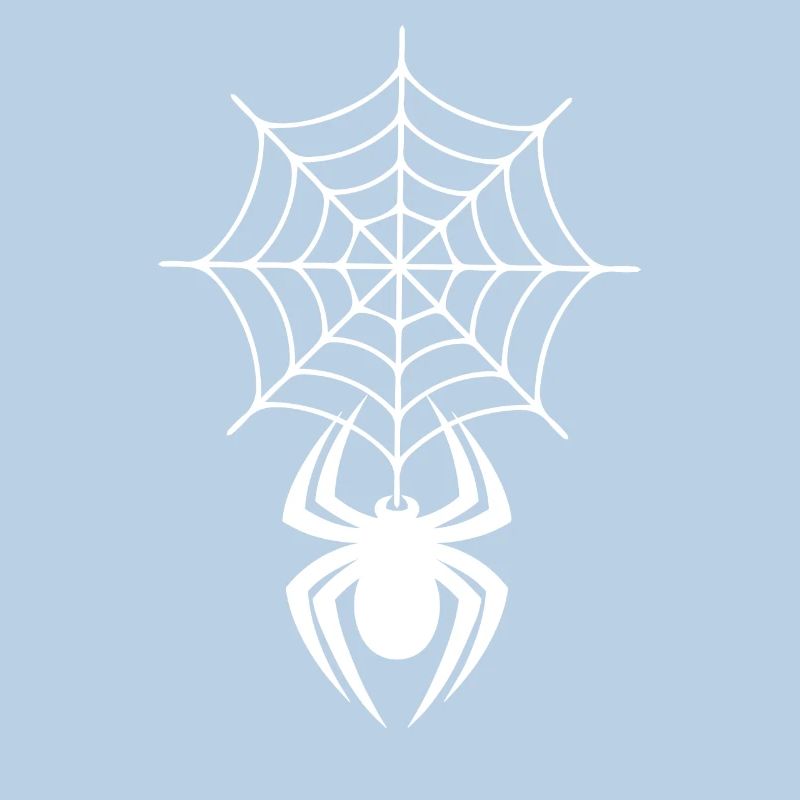 Cobweb with spider