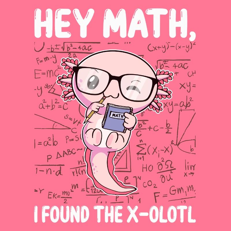 Funny Math Axolotl Math Gift