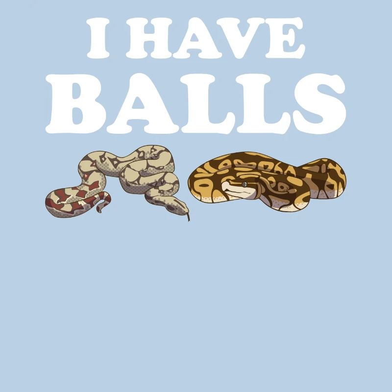 Funny Ball Python Snake