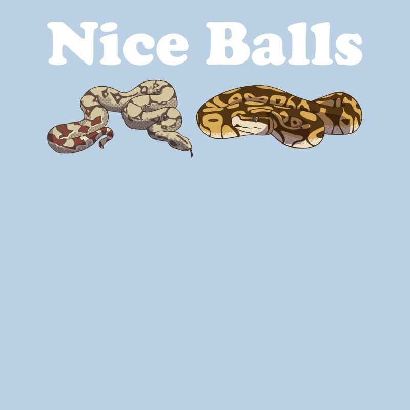 Funny Ball Python Snake