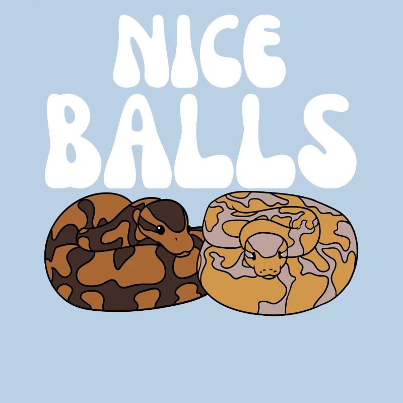 Kugelpython Schlange