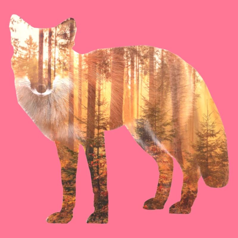 Fuchs Wald Geschenk Geschenkidee
