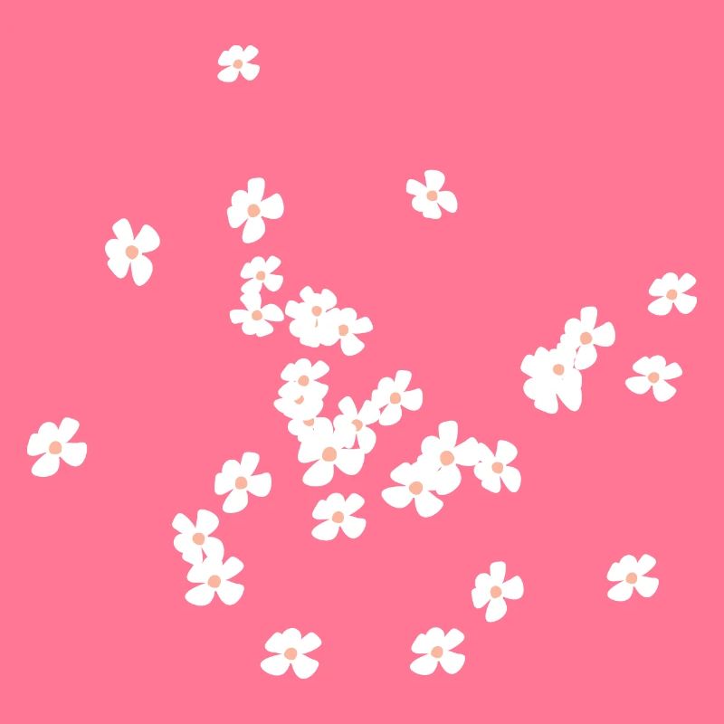 fleurs blanches beaucoup de fleurs printemps débit été