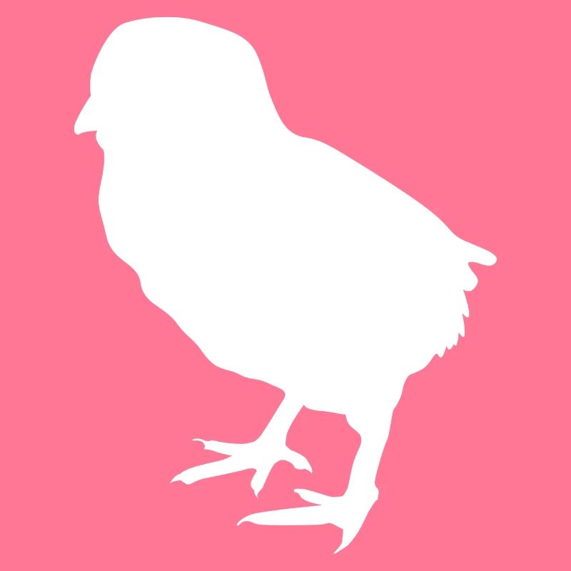 poussin