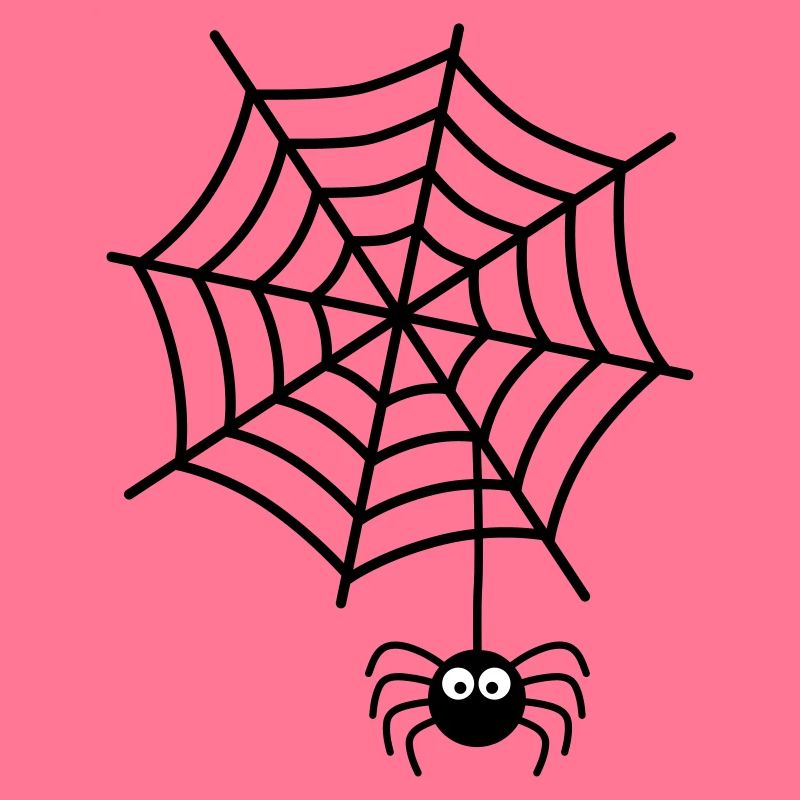 Spiderweb Spider