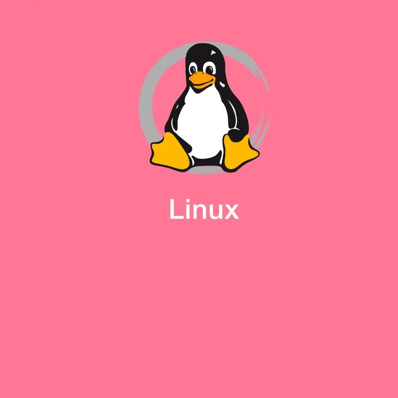 Pc computer Pinguin nerd geek Programmierer Admin