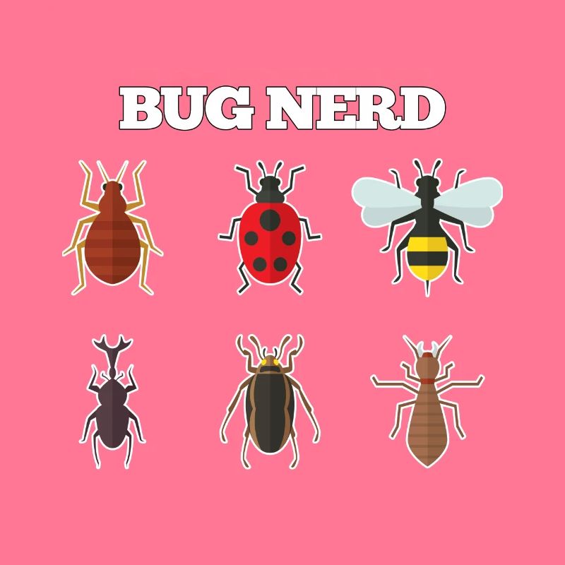 Bug Nerd