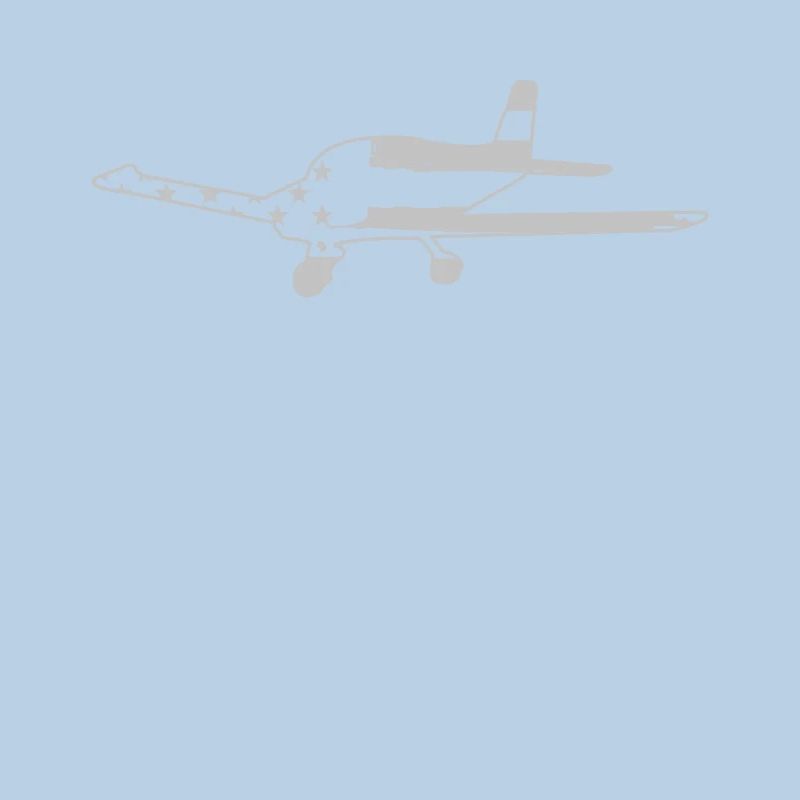 Flugzeug Pilot Luftfahrt