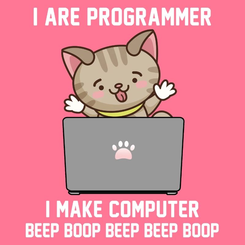 Programmer
