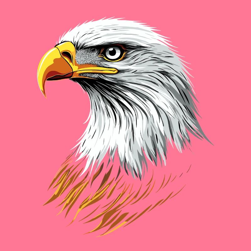 Eagle Bald Eagle Golden Eagle White-tailed Eagle