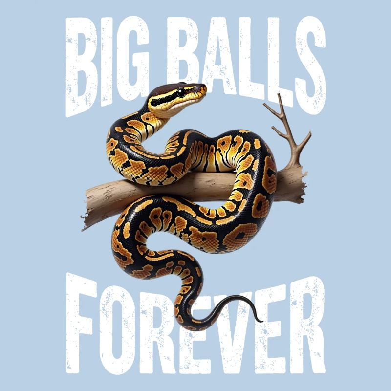 King Python Snakes Lover Terrarium Python