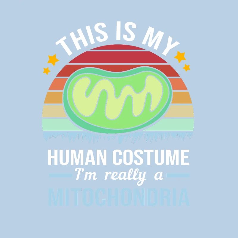 Molecule Structural Formula