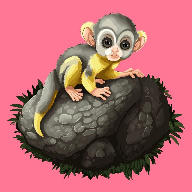 Squirrel Monkey Squirrel Monkey Monkey Monkey Baby