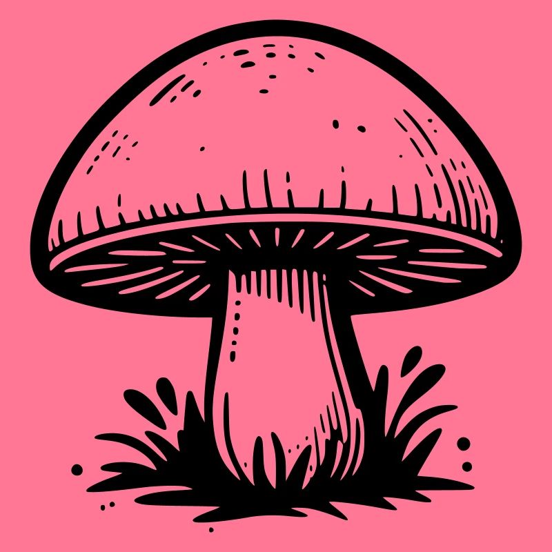 Champignon champignon