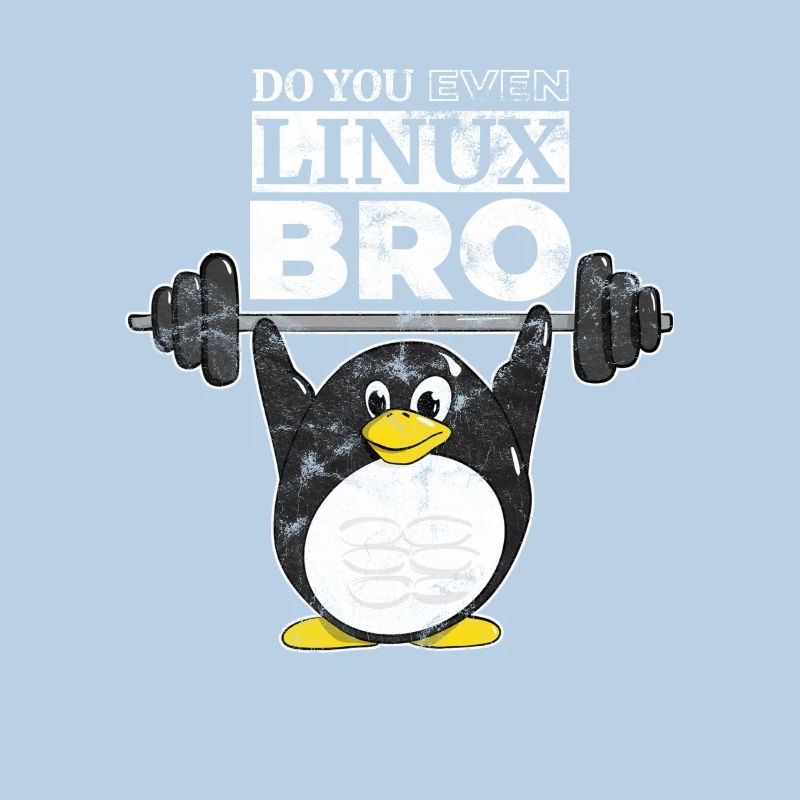 Do You Even Linux Bro Linux Pinguin hebt Gewichte