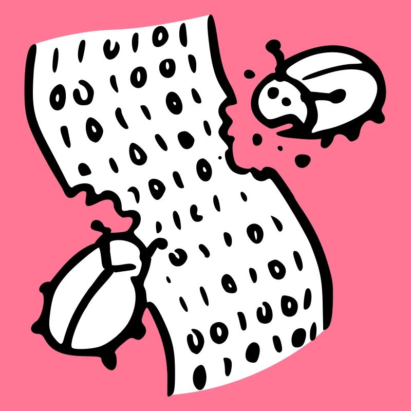 code bugs software