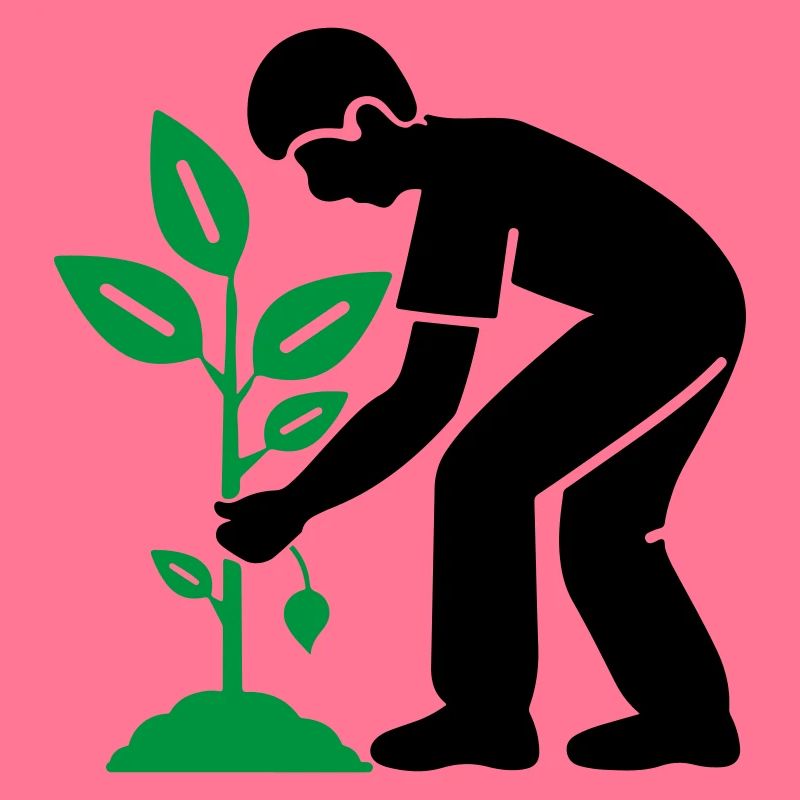 Tree Plants Garden Environment