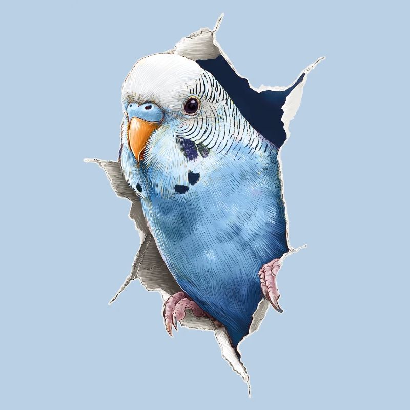 Budgerigar
