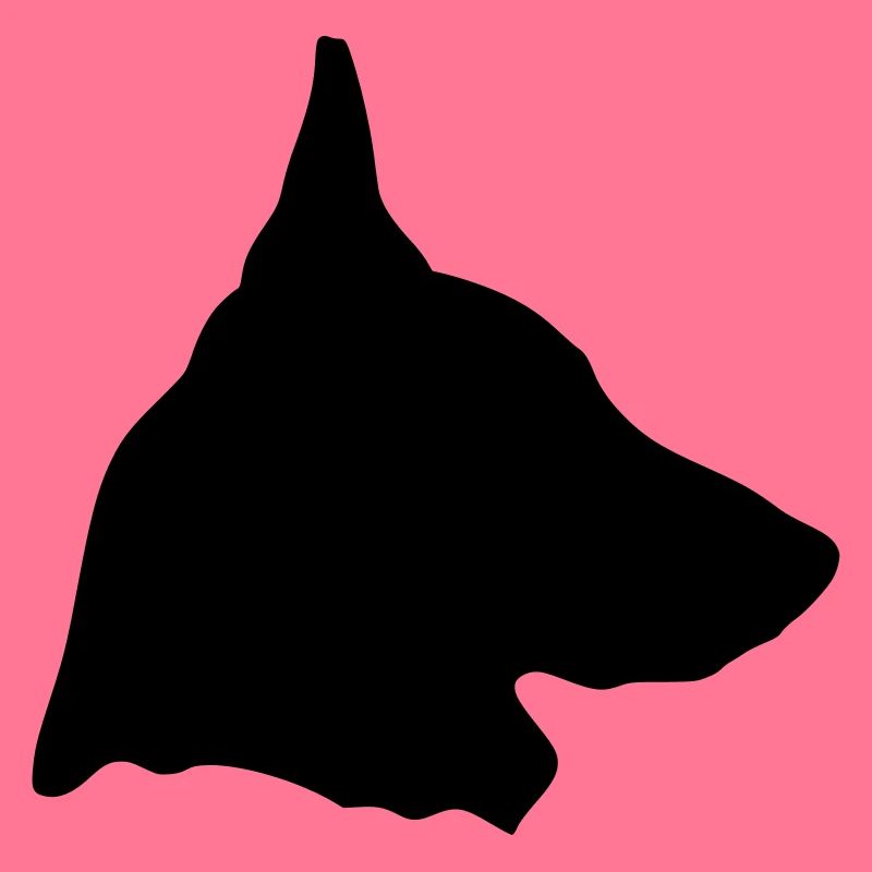 Belgian Shepherd Malinois in profile (D)